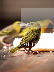 招行信用卡逾期了 怎么办 招行信用卡逾期了 怎么办